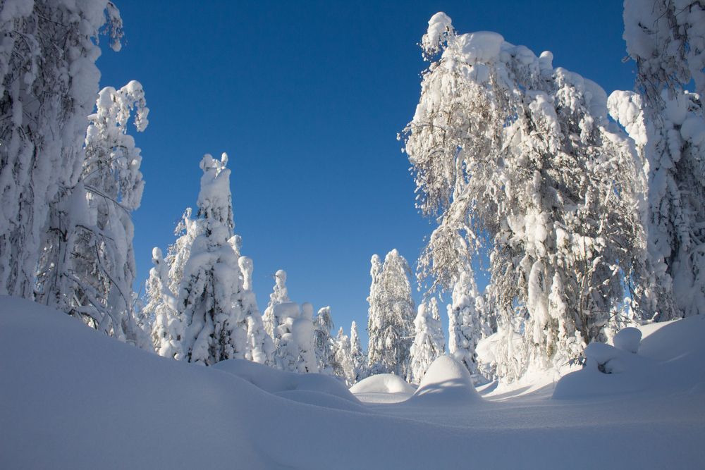 Photograph by Александр Суворов