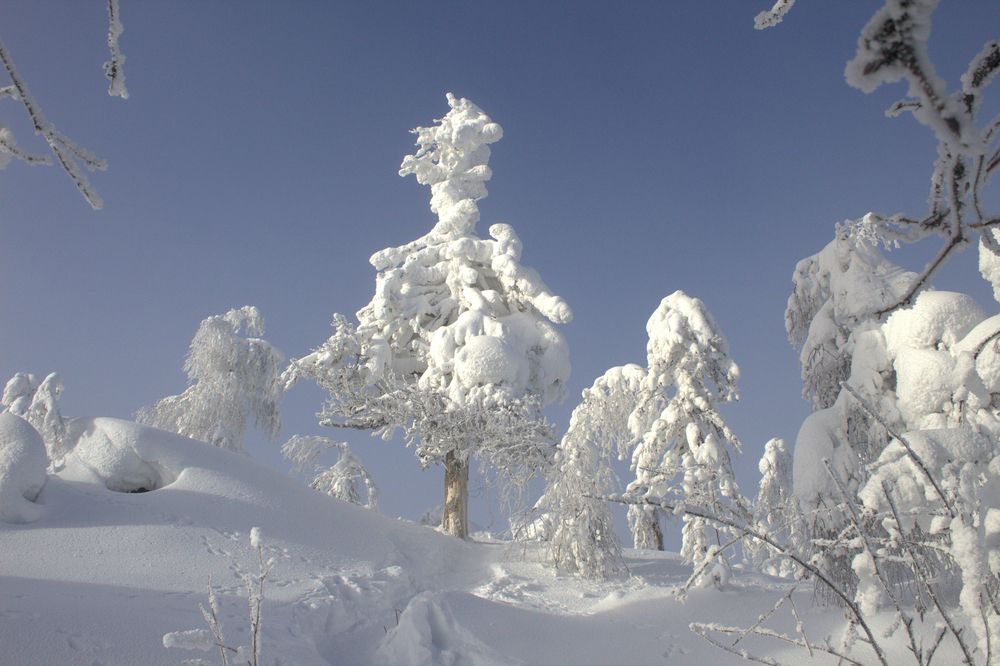 Photograph by Александр Суворов