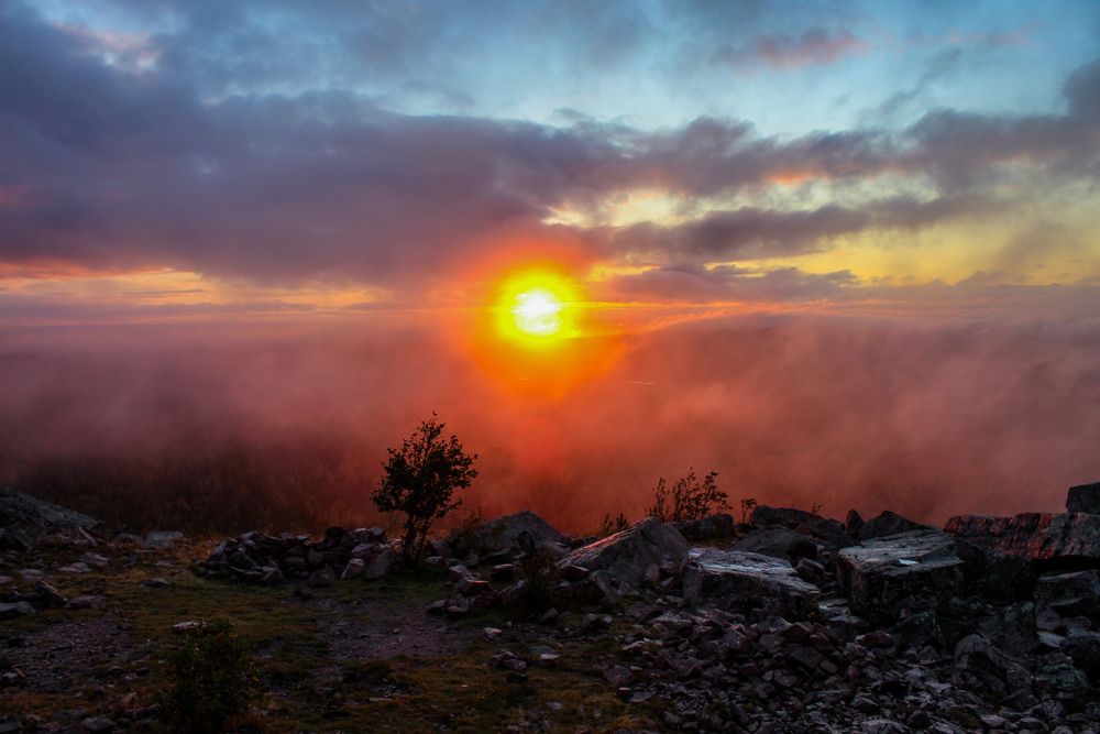 Photograph by Александр Суворов