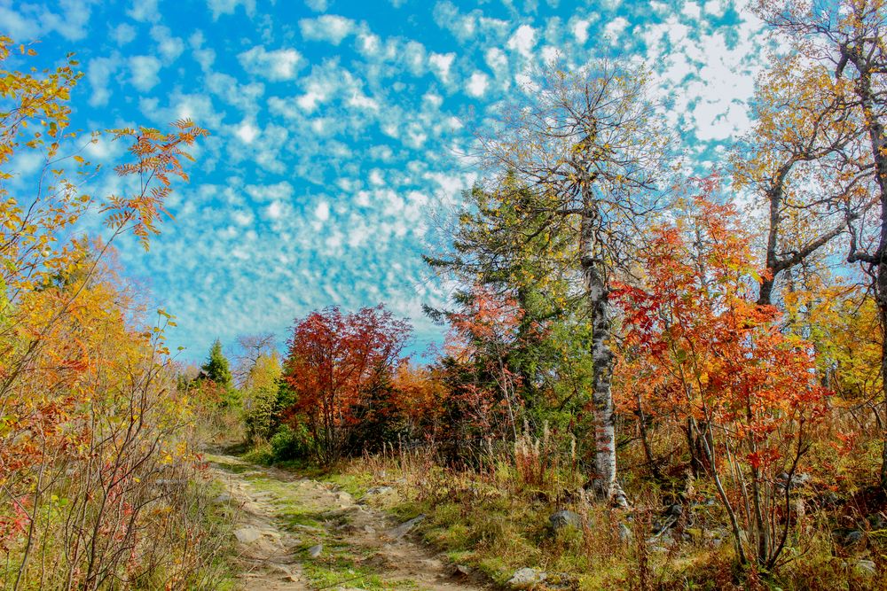 Photograph by Александр Суворов