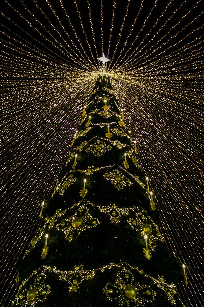 Photograph by Александр Суворов