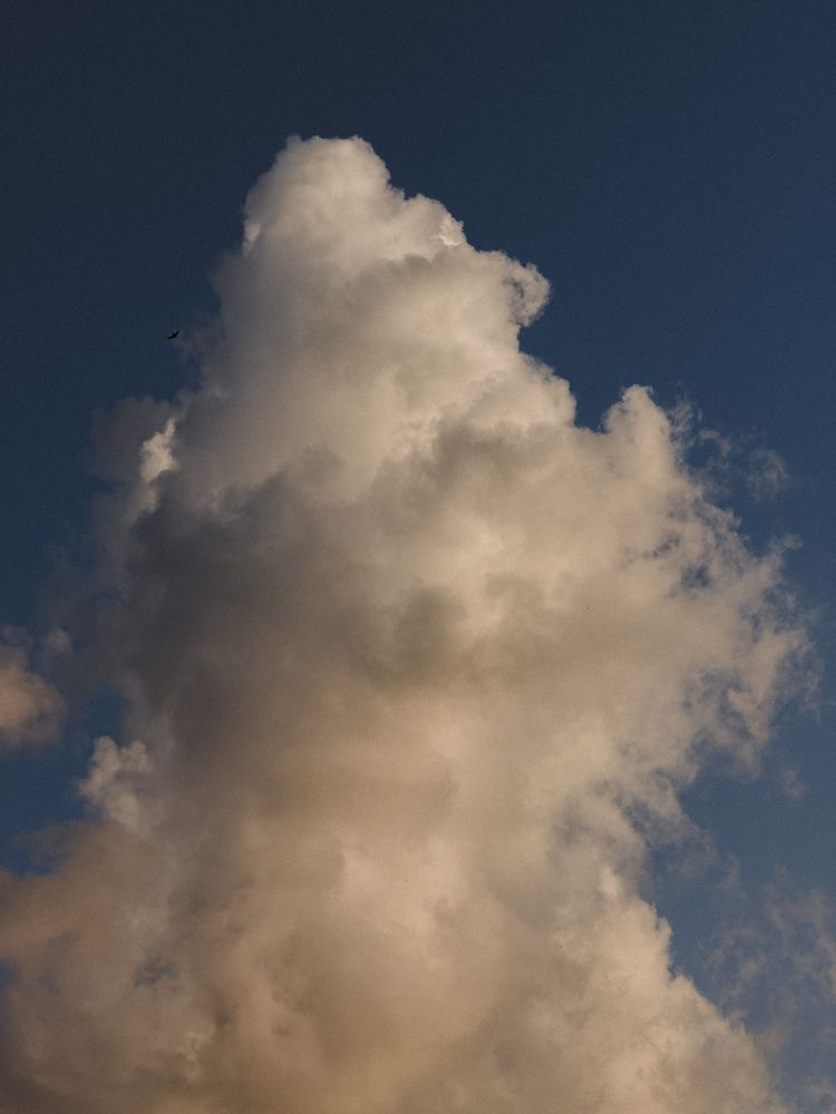 Фотография автора Анастасия Терехова