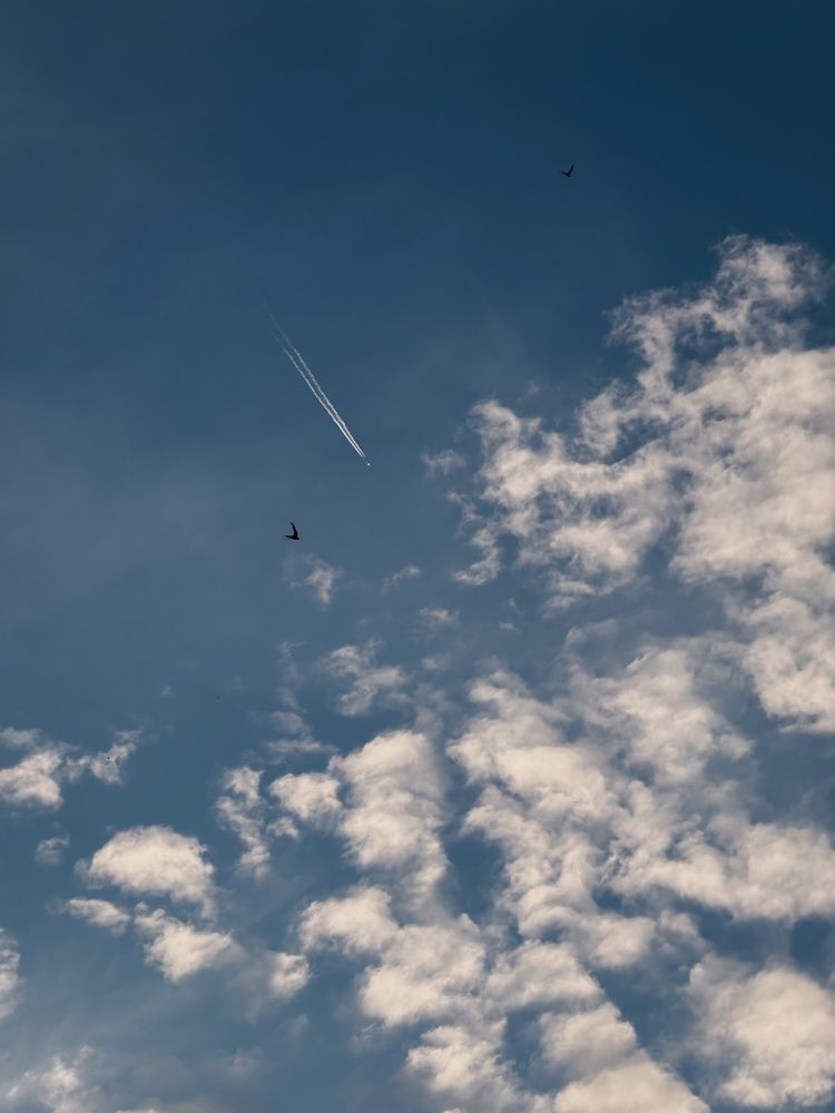 Фотография автора Анастасия Терехова