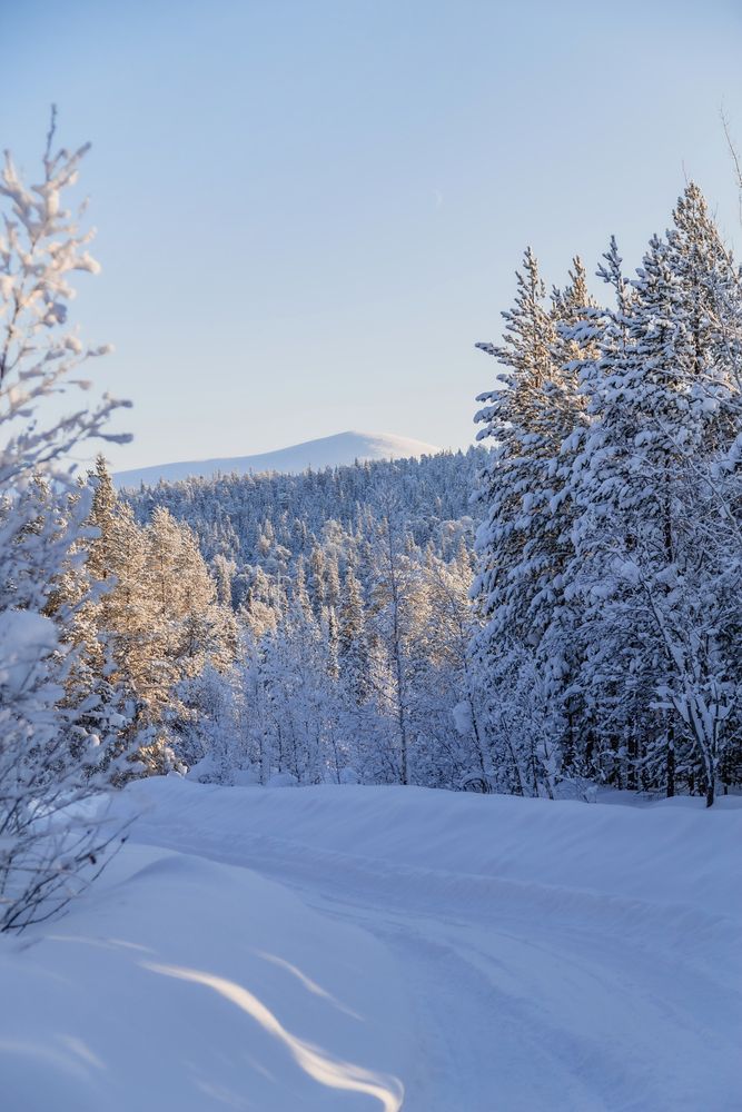 Photograph by Кормашова Татьяна