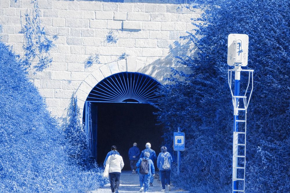 Photograph by Juan jose Sánchez gonzalez