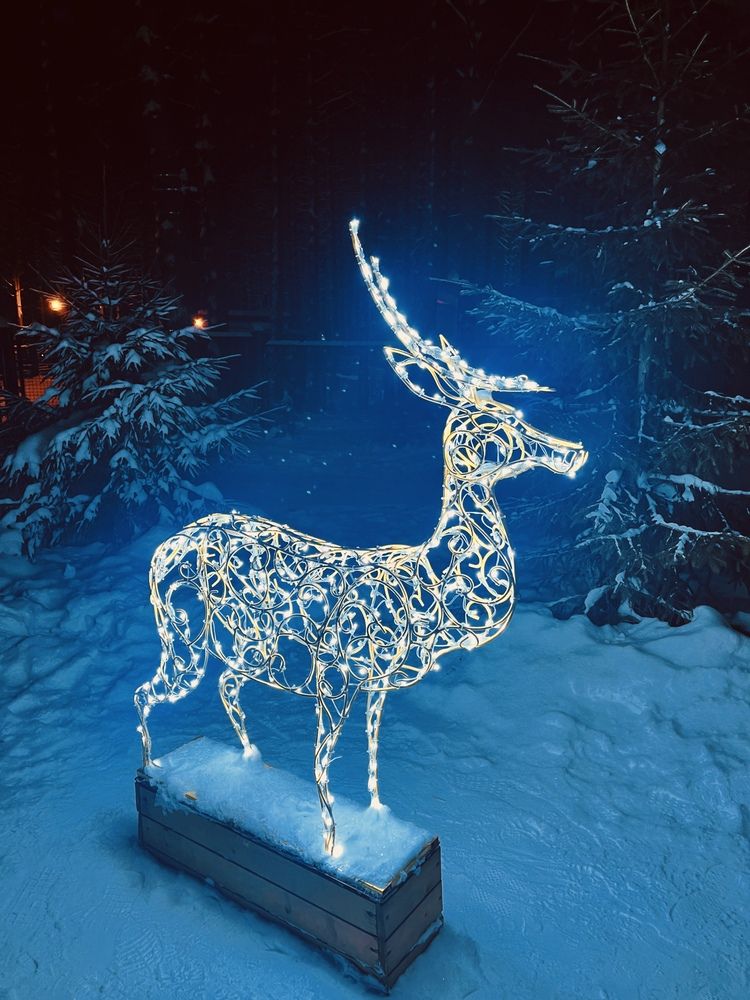 Photograph by Mariia Zinina