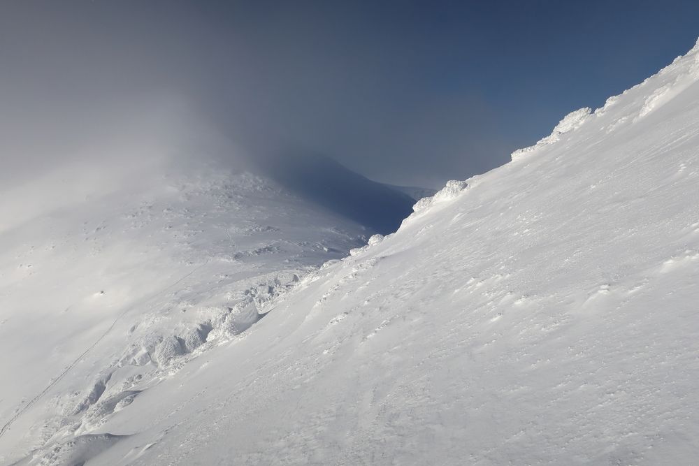Photo #12980222
