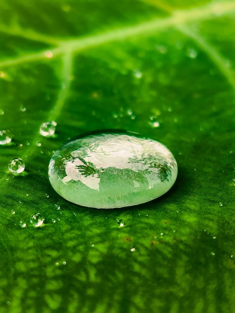 Water droplet