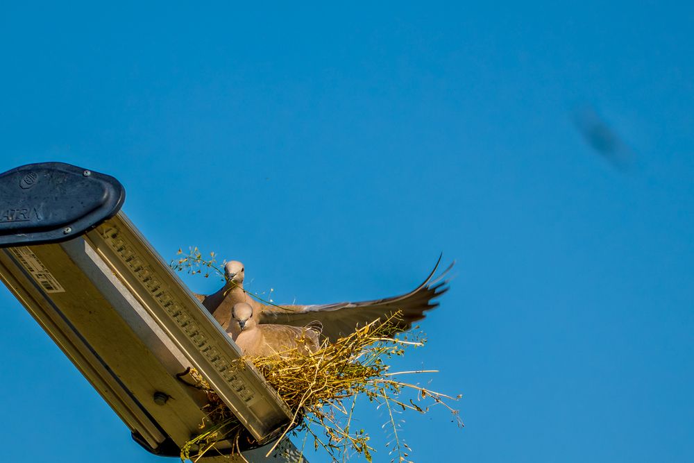 Фотография автора Владимир Хакимов
