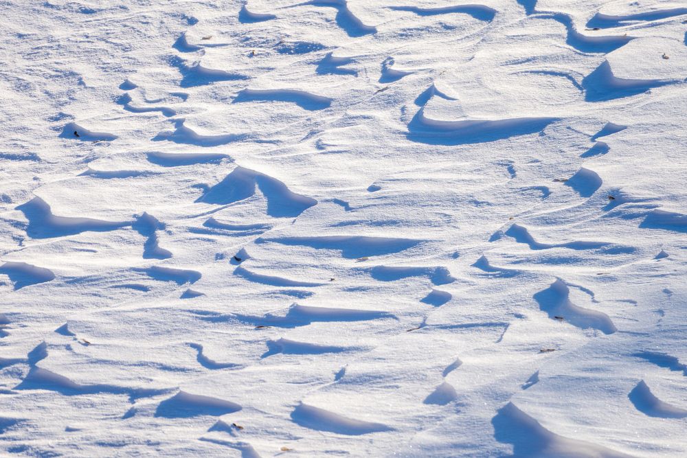 Photograph by Алексей Поликарпов