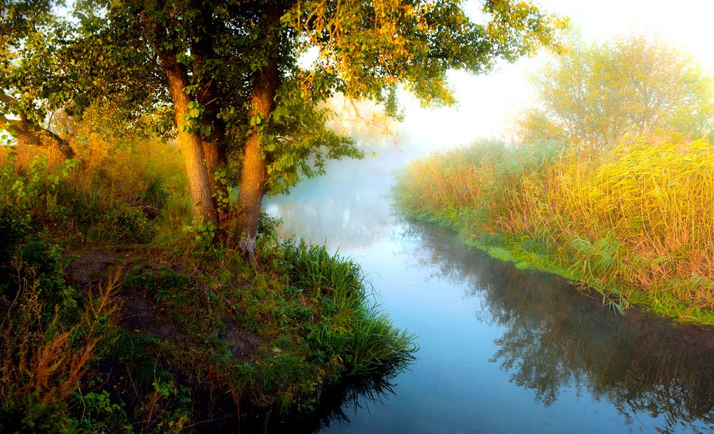 Photograph by Рукин Иван