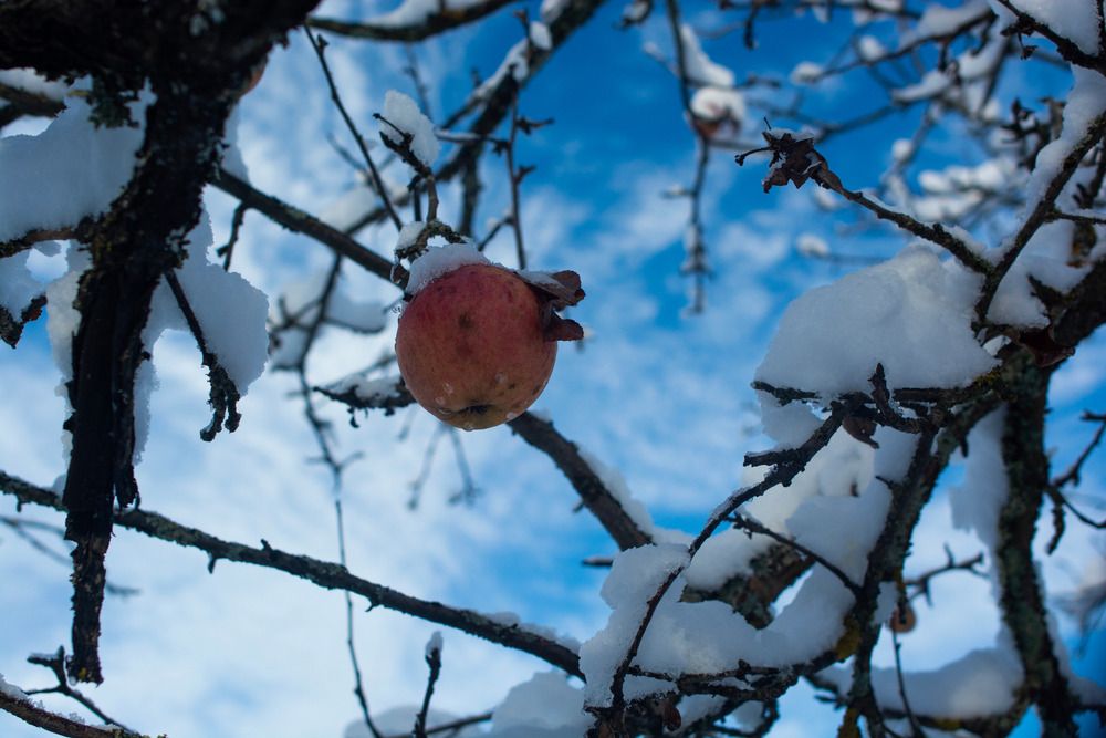 Photograph by Владимир Родин