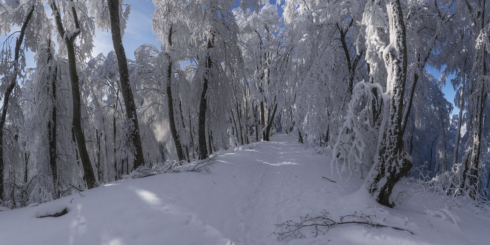 Photograph by Чухров Дмитрий