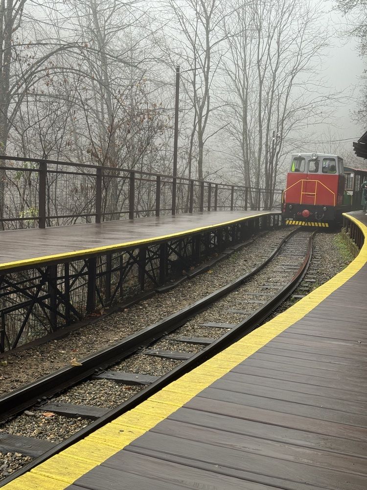 Photograph by Бойкова Наталия