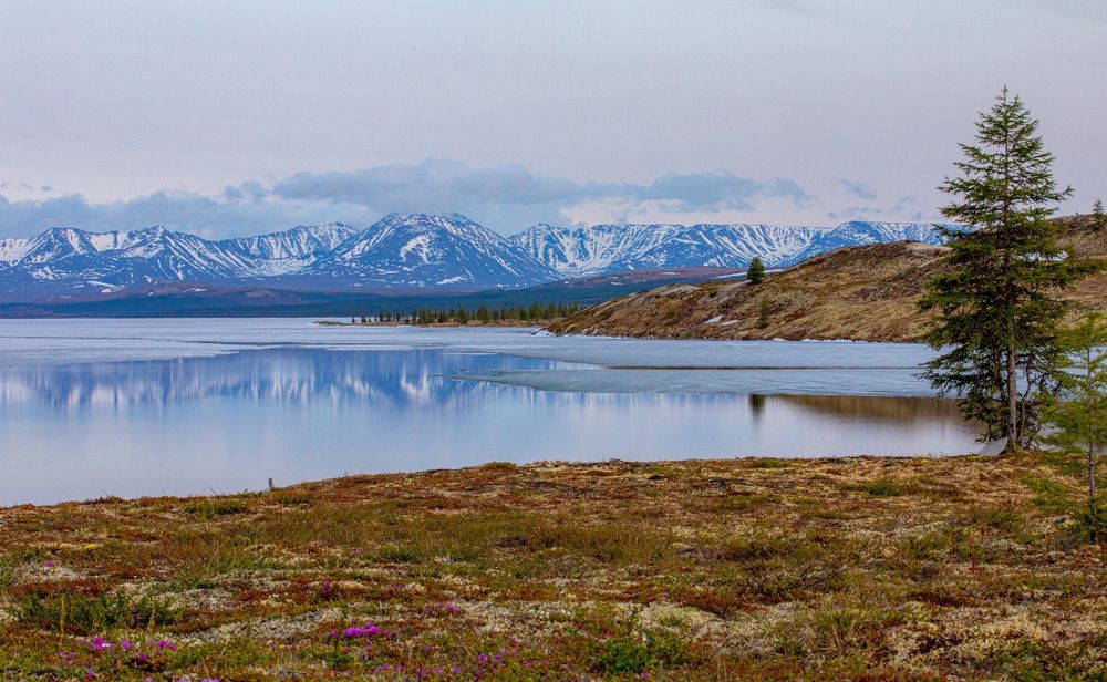Photograph by Елена Данченко