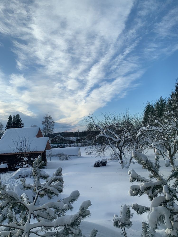 Photograph by Елена