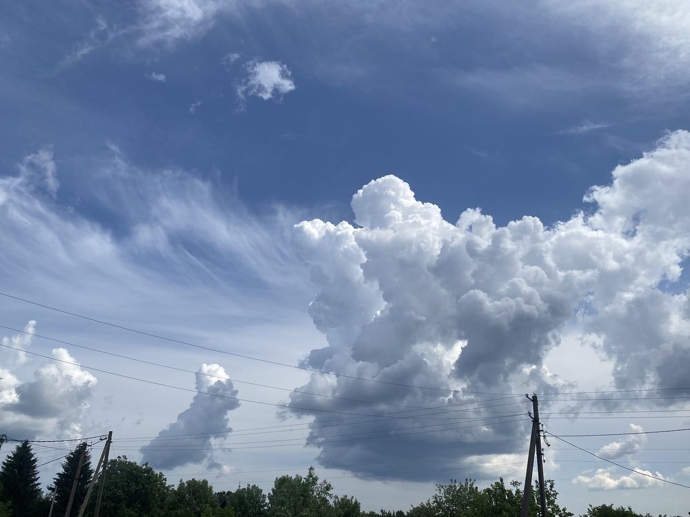 Photograph by Елена