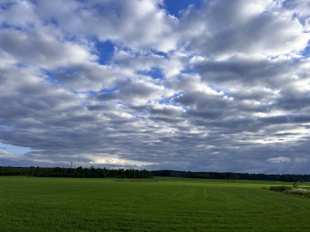 Photograph by Елена