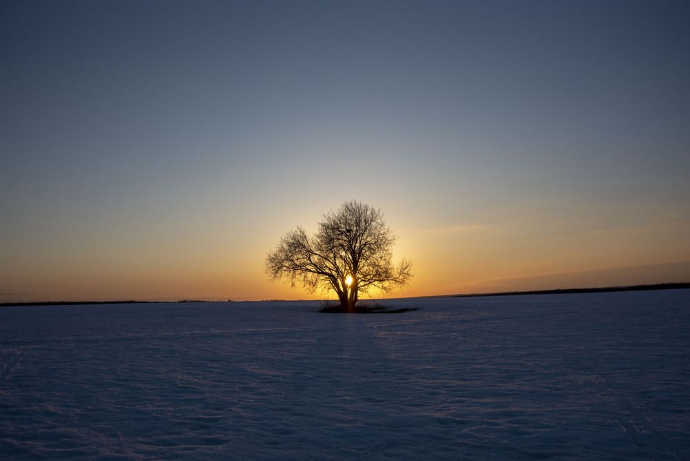 Фотография автора Злобин Сергей