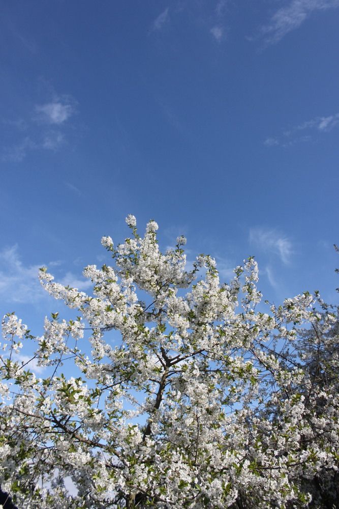 Photograph by Екатерина Ерина