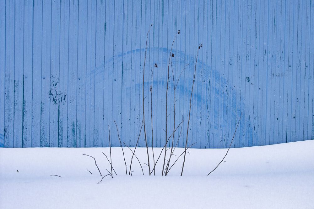 Фотография автора Андрей Рогов
