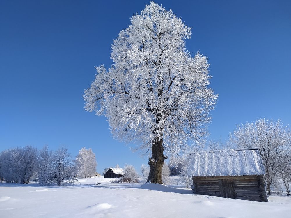 Умиротворение...