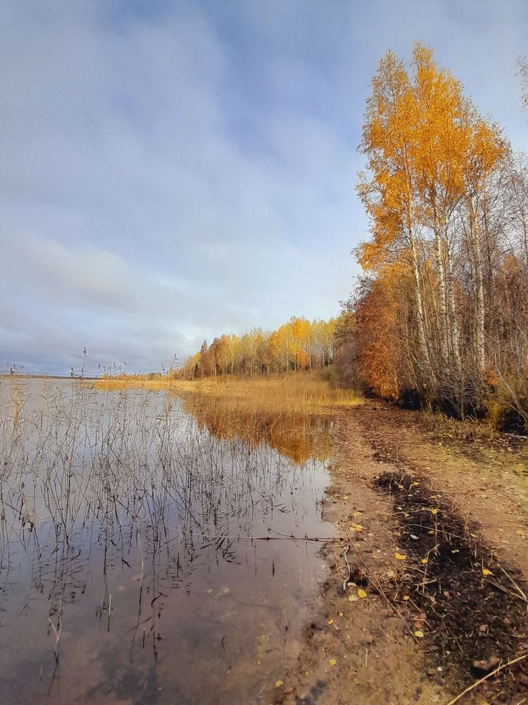 Photograph by Анна