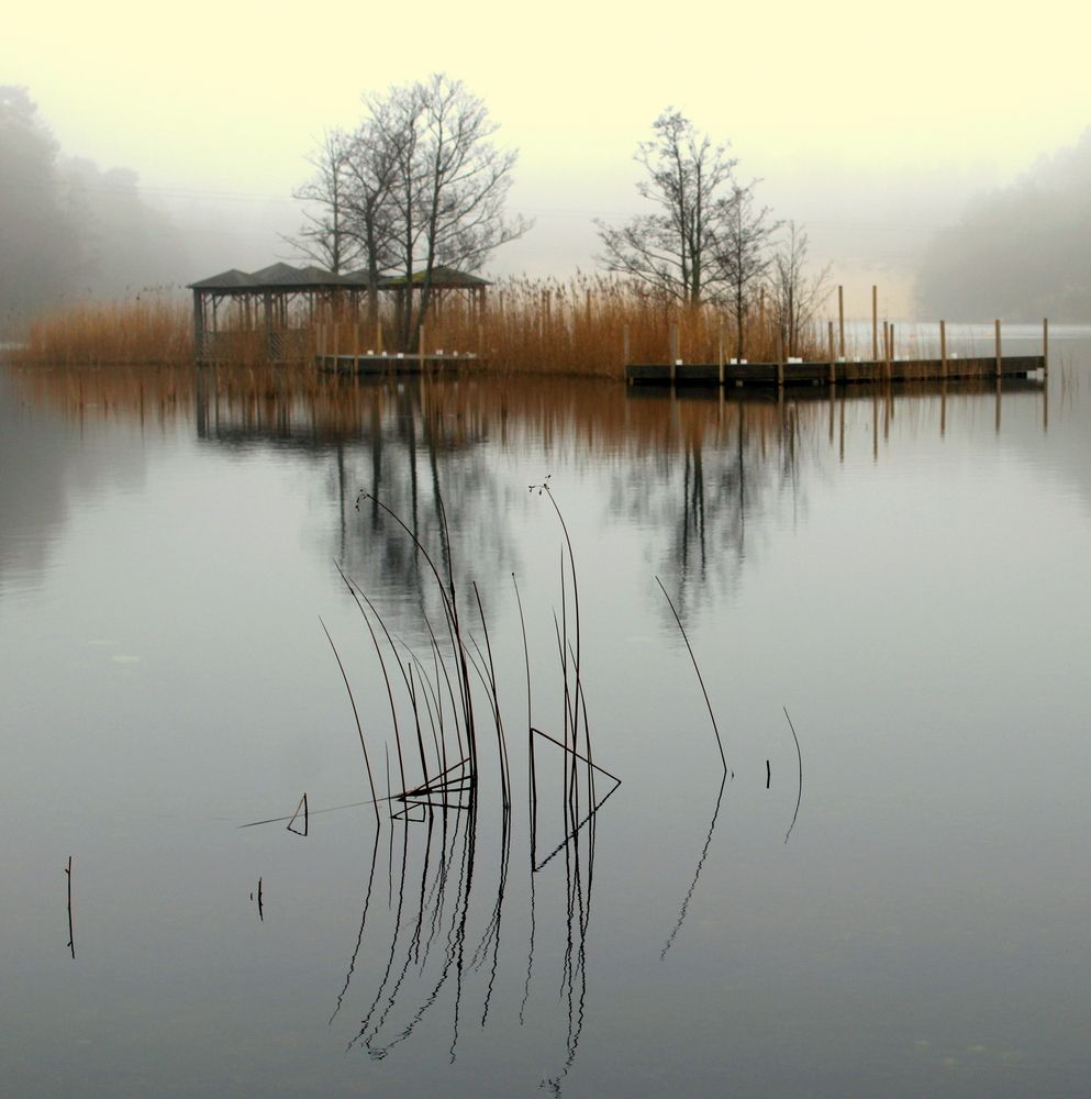 Photograph by Алексей Макаров