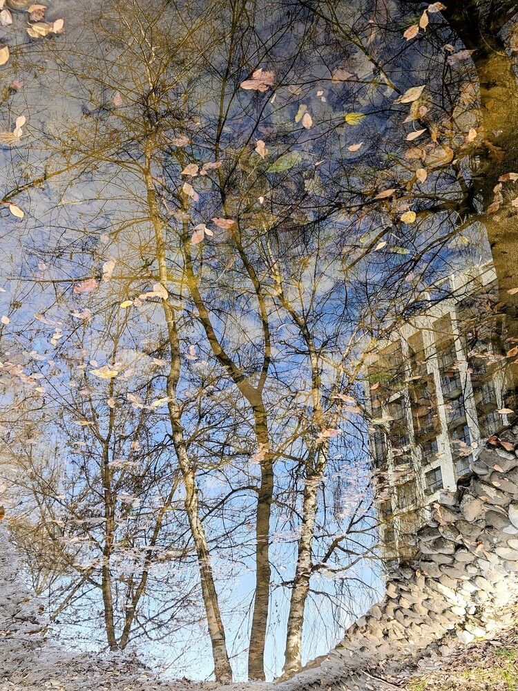 Photograph by Эльвира