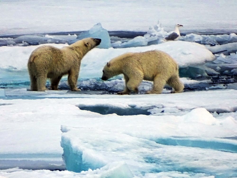 Photograph by Ivan Karavka