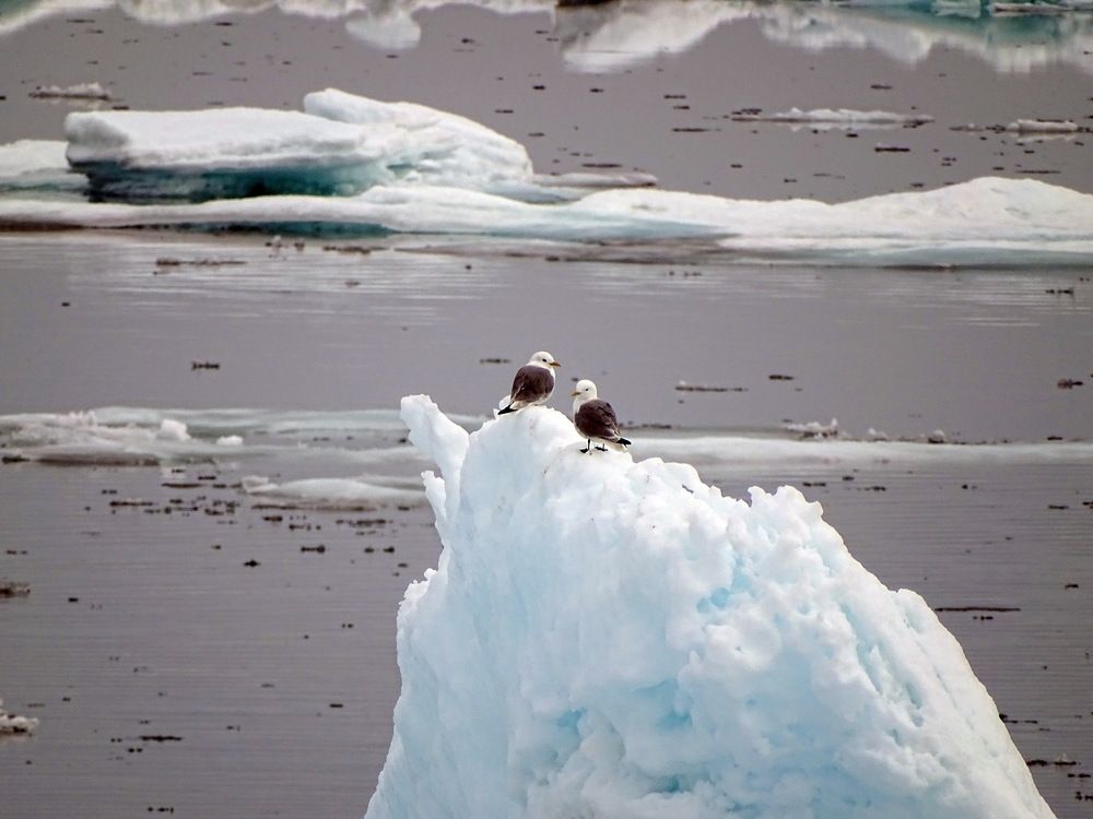 Photograph by Ivan Karavka