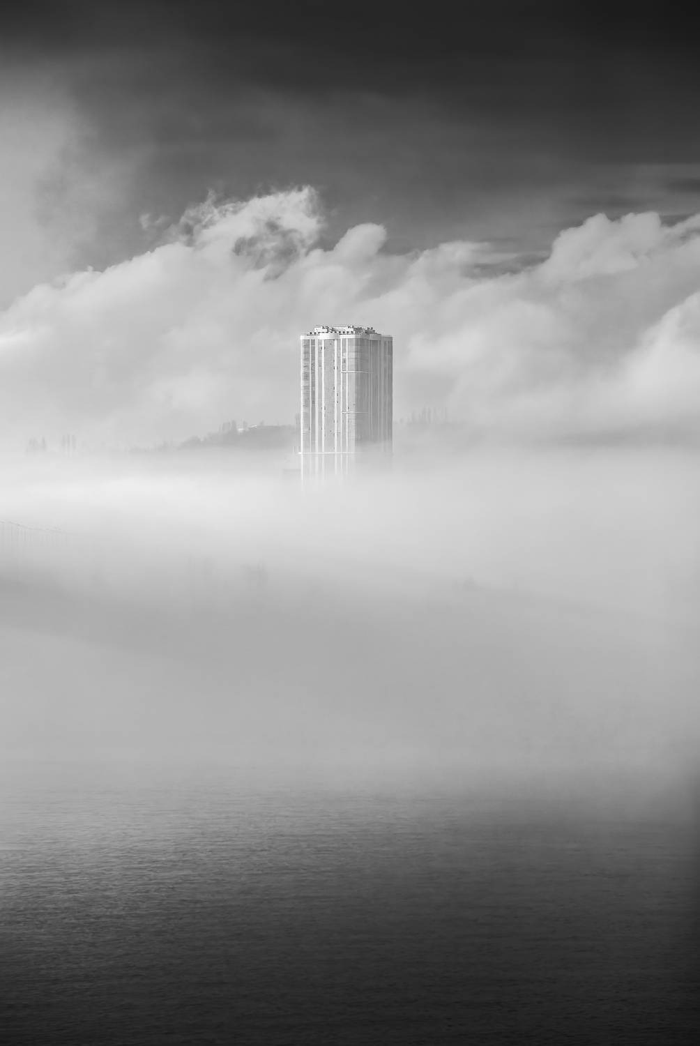 Фотография #12980791