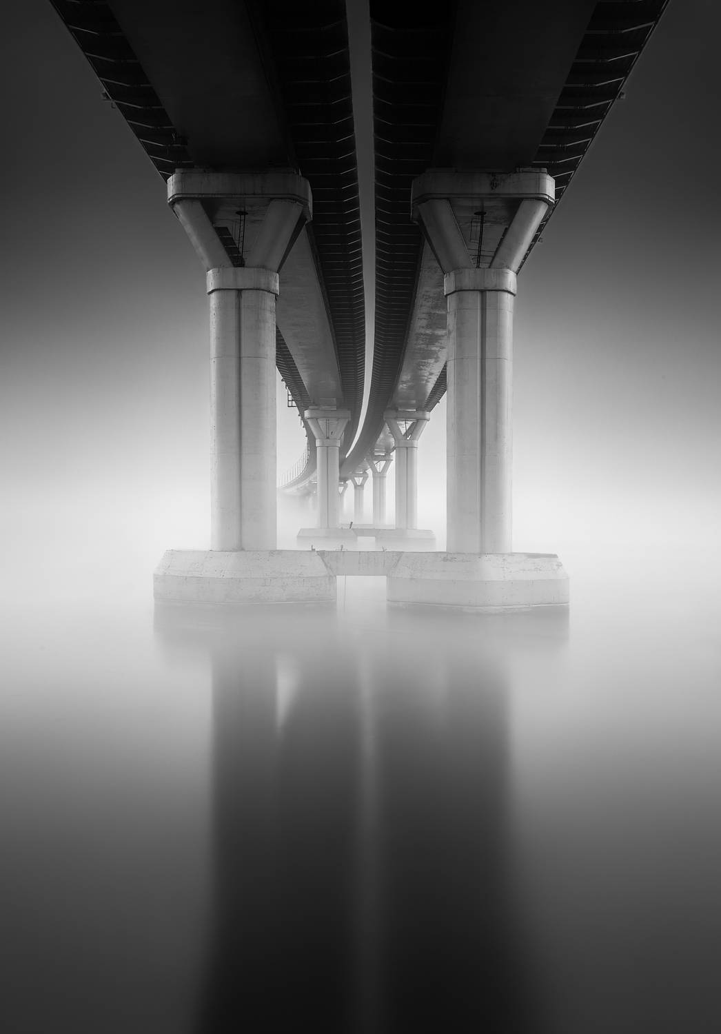 Фотография #12980882