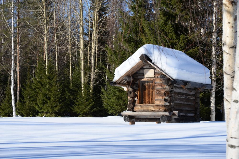 Photograph by Владимир kolpakov