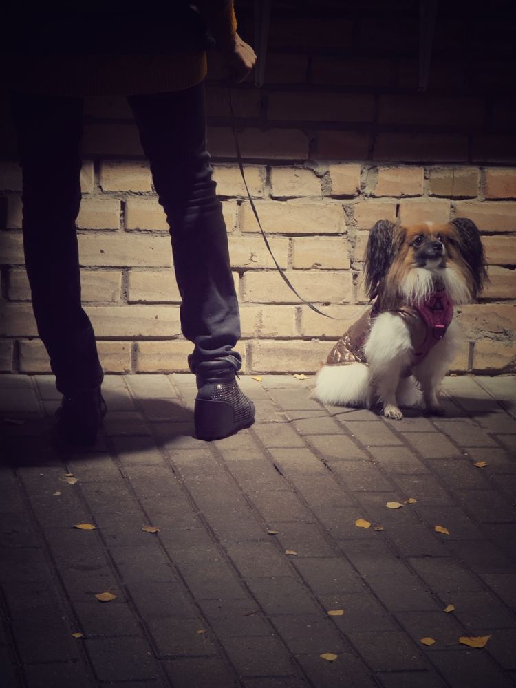 Photograph by Вера