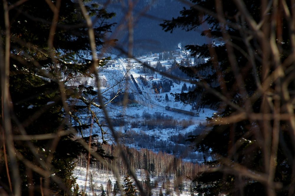 Фотография автора Сергей Тимофеев