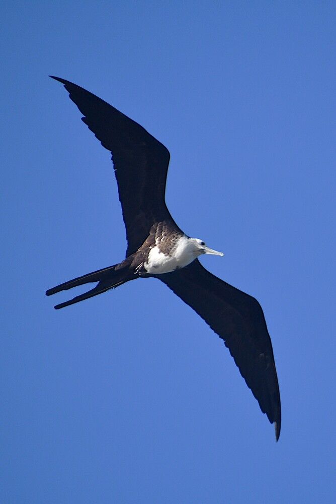 Photograph by Marzio Fattorini