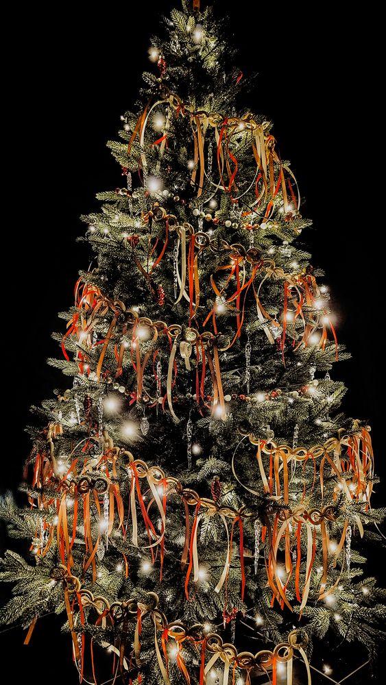 Photograph by Екатерина