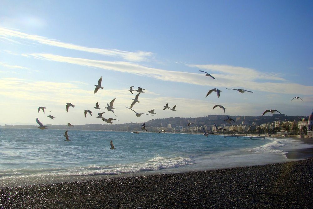 Лазурный берег