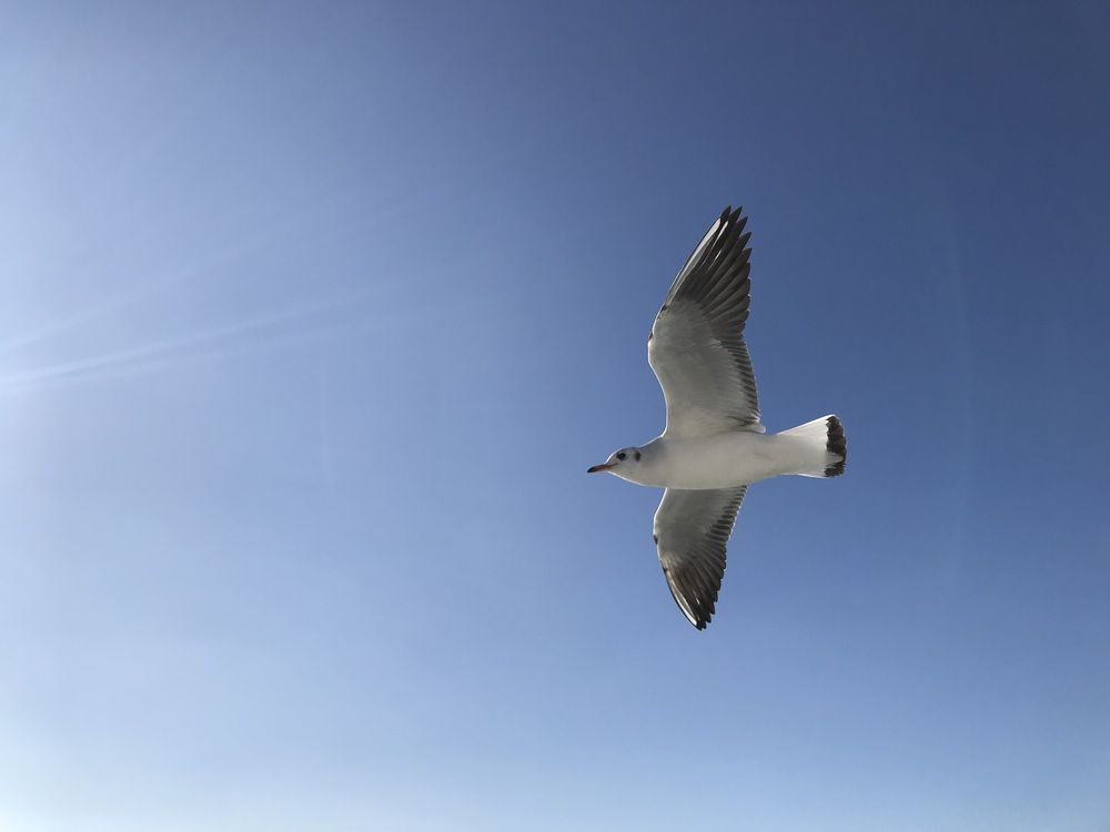 Photograph by Вера
