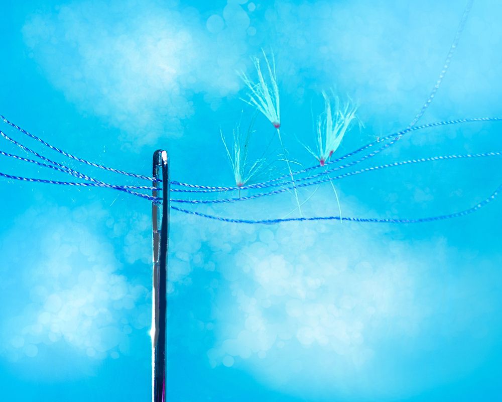 Одуванчиковые птицы