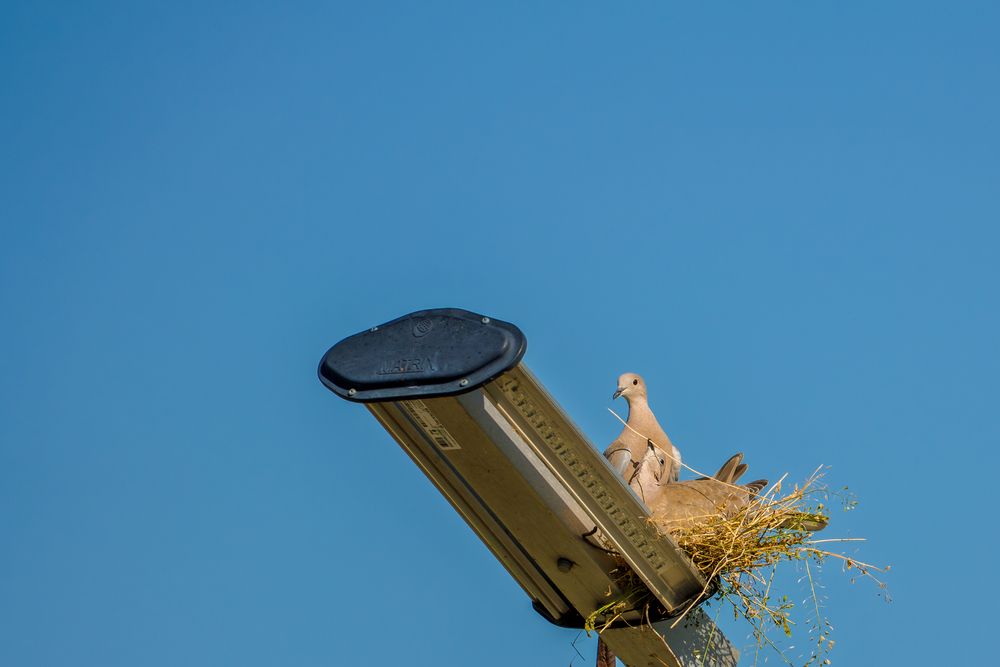 Фотография автора Владимир Хакимов