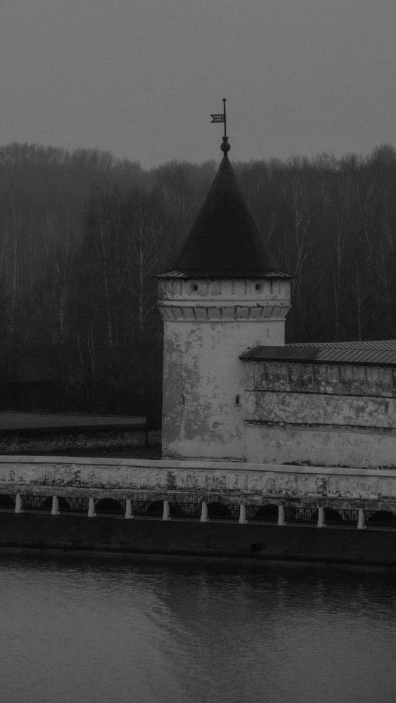 Castle in forest