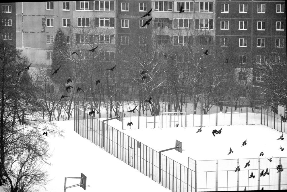Photograph by Светлана