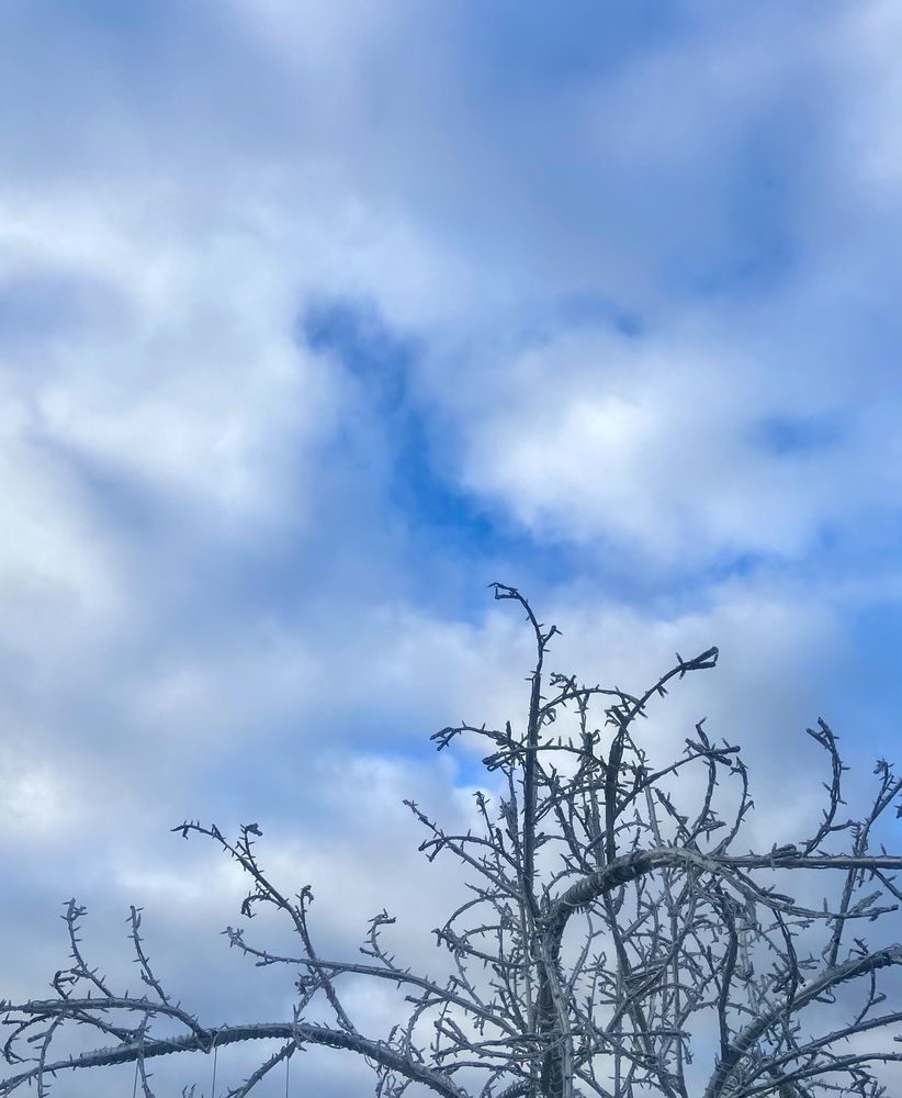 Photograph by Elena Ibragimova