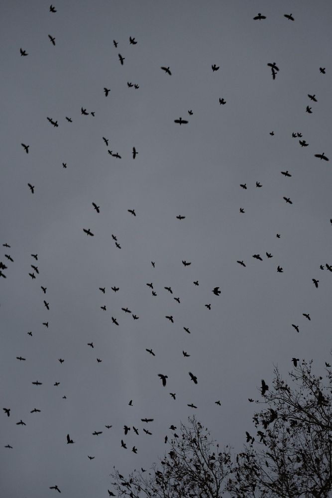 Photograph by Maxim Lip