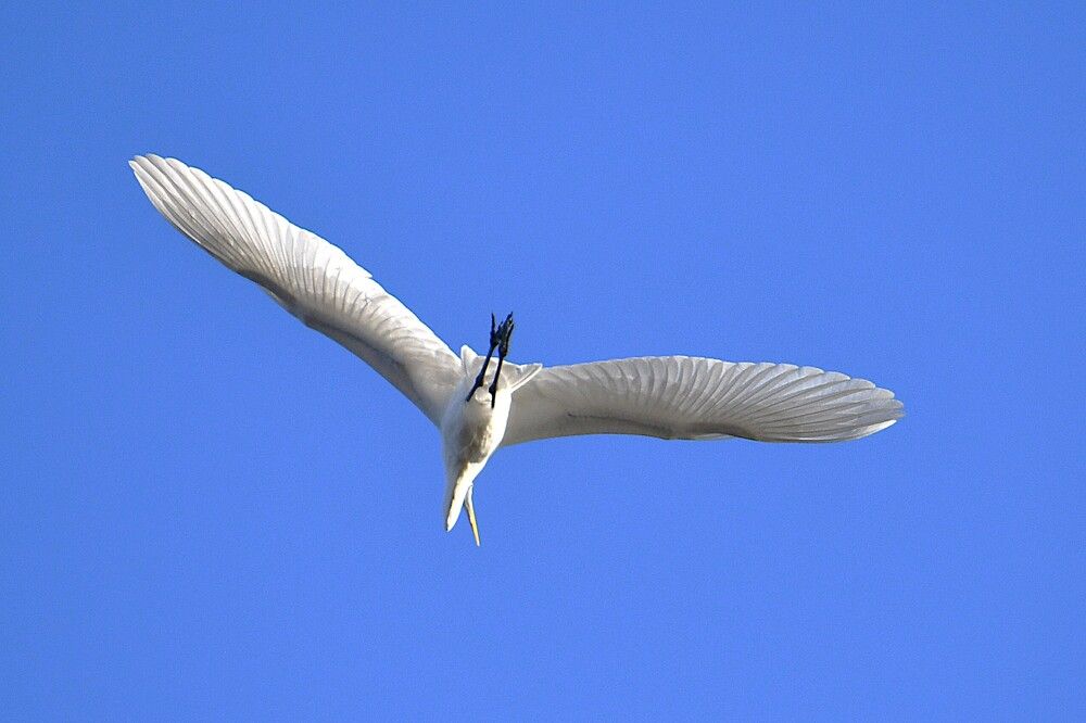 Photograph by Marzio Fattorini