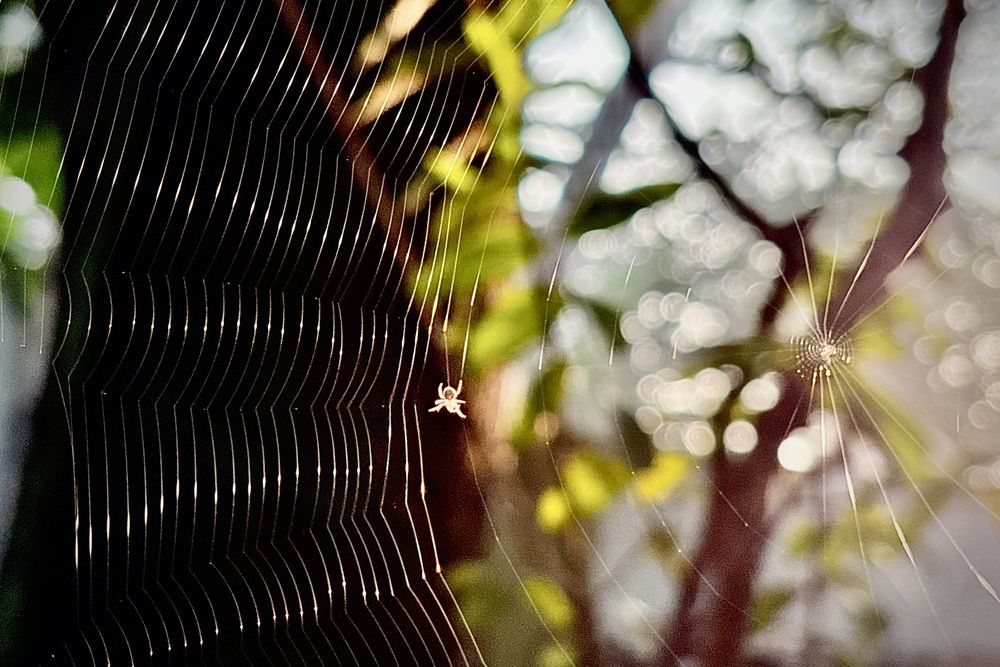 Photograph by BIPLAB MISRA