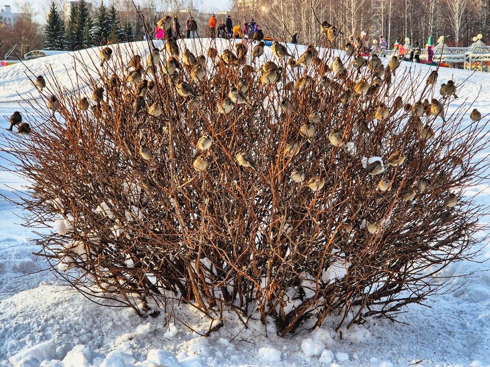 Присели отдохнуть