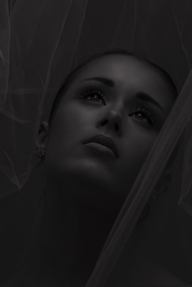 In The Softness of Darkness